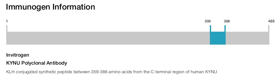 KYNU Polyclonal Antibody
