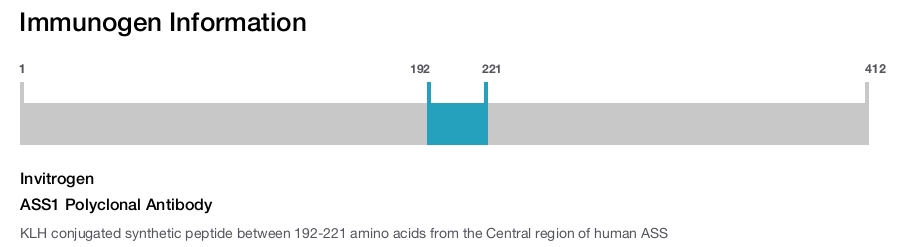 ASS1 Polyclonal Antibody