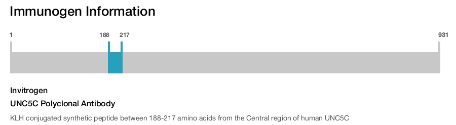 UNC5C Polyclonal Antibody