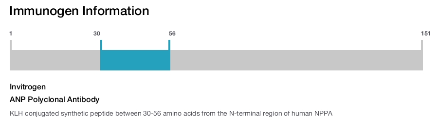 ANP Polyclonal Antibody