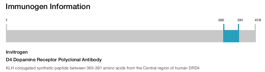 D4 Dopamine Receptor Polyclonal Antibody