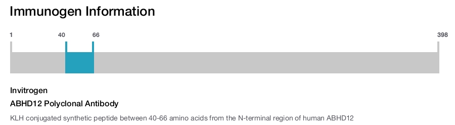 ABHD12 Polyclonal Antibody