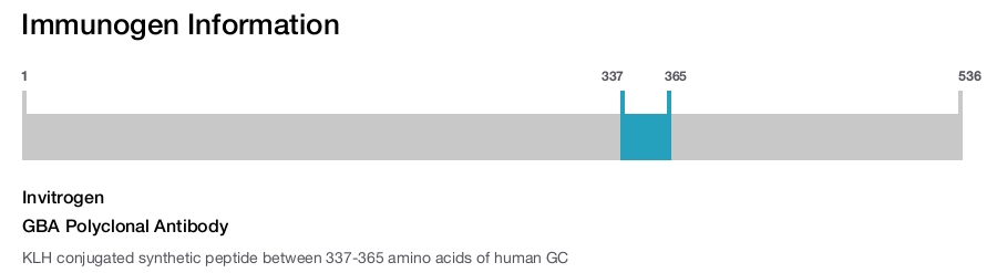 GBA Polyclonal Antibody