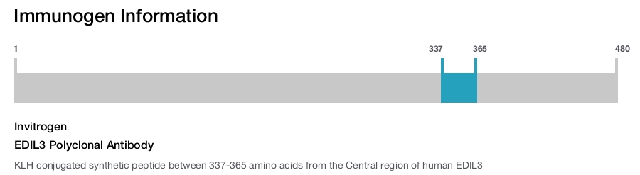 EDIL3 Polyclonal Antibody