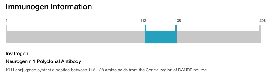 Neurogenin 1 Polyclonal Antibody