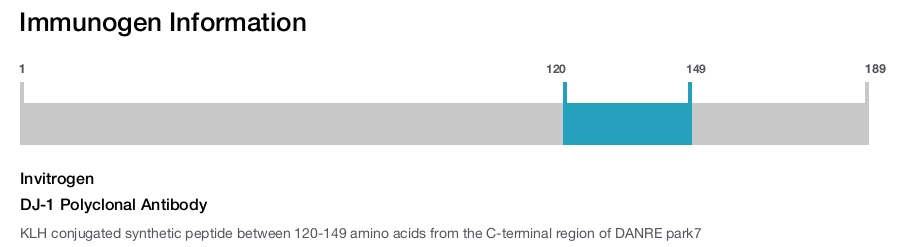 DJ-1 Polyclonal Antibody