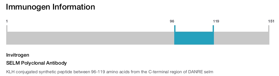 SELM Polyclonal Antibody