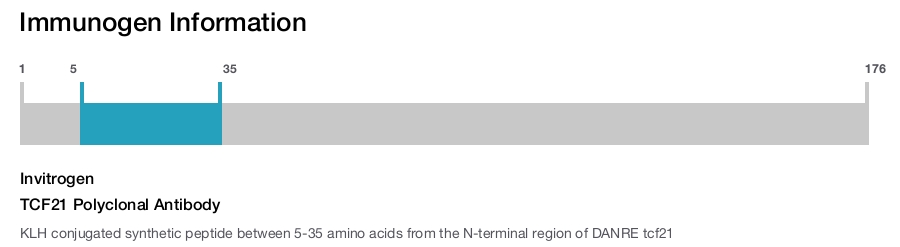TCF21 Polyclonal Antibody