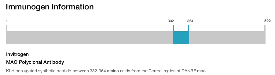 MAO Polyclonal Antibody