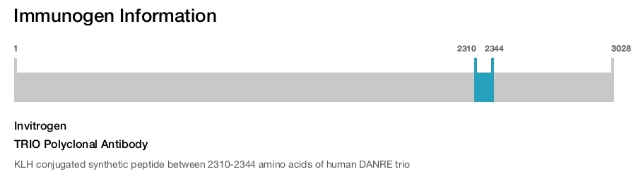 TRIO Polyclonal Antibody