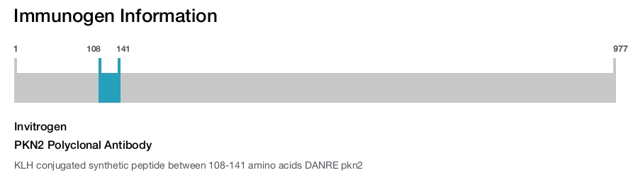 PKN2 Polyclonal Antibody
