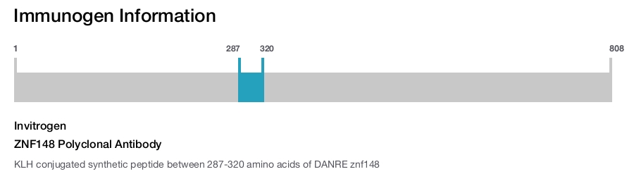 ZNF148 Polyclonal Antibody