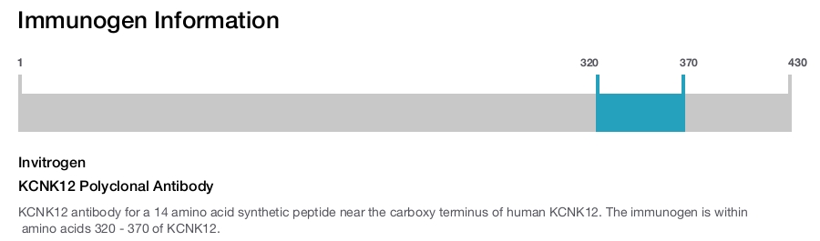 KCNK12 Polyclonal Antibody