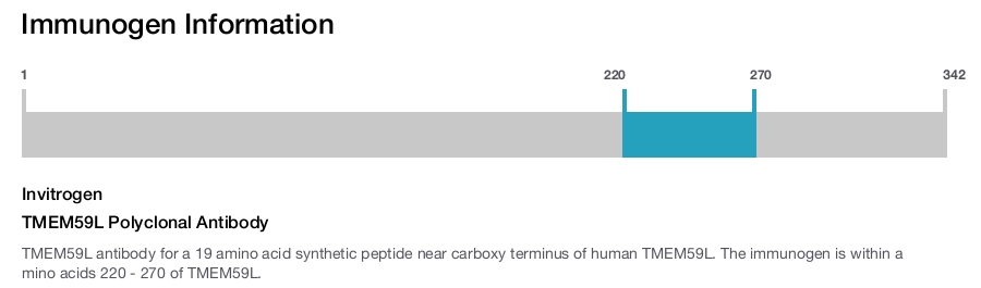 TMEM59L Polyclonal Antibody