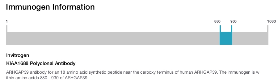 KIAA1688 Polyclonal Antibody