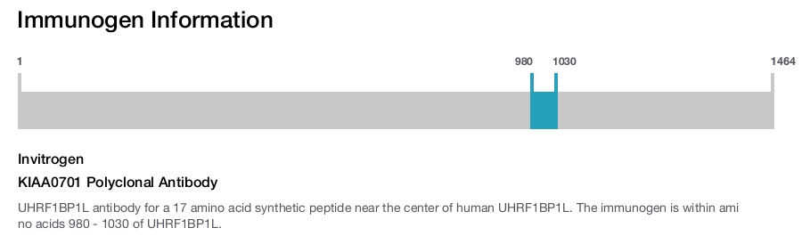 KIAA0701 Polyclonal Antibody