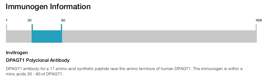 DPAGT1 Polyclonal Antibody
