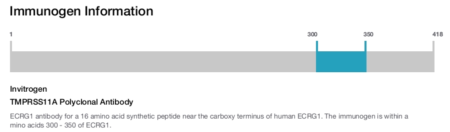 TMPRSS11A Polyclonal Antibody