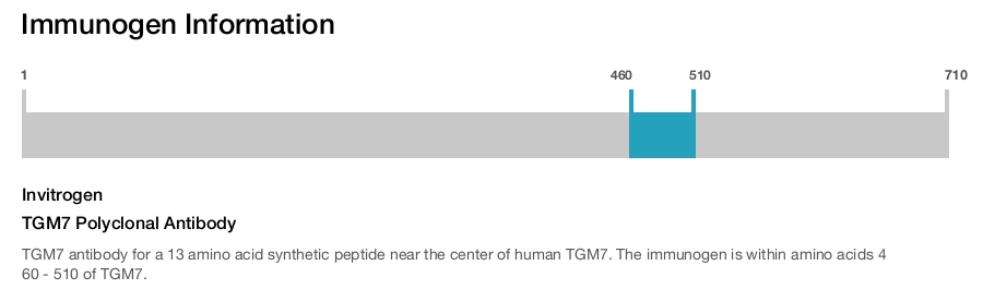 TGM7 Polyclonal Antibody