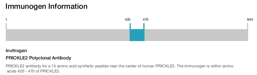 PRICKLE2 Polyclonal Antibody