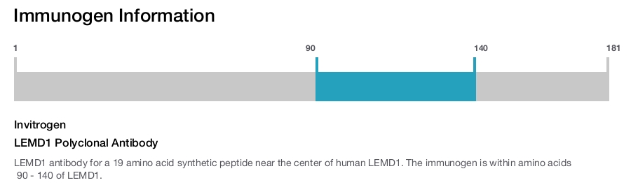 LEMD1 Polyclonal Antibody