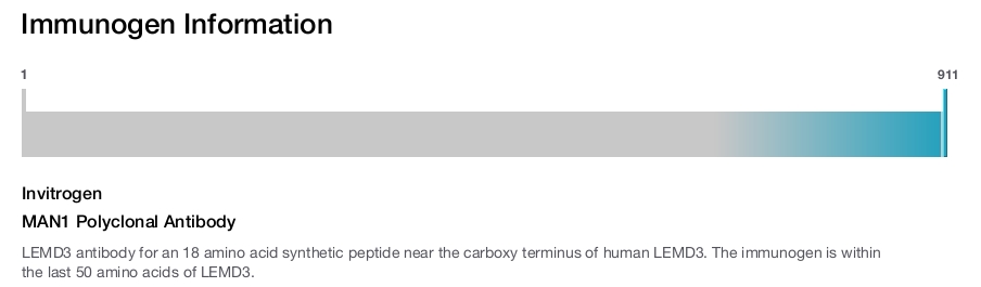 MAN1 Polyclonal Antibody