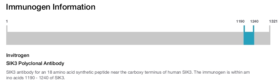 SIK3 Polyclonal Antibody