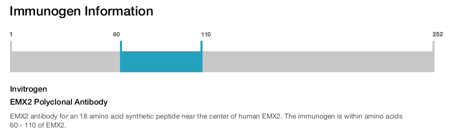 EMX2 Polyclonal Antibody