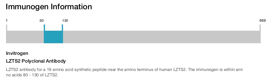 LZTS2 Polyclonal Antibody