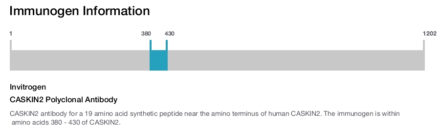 CASKIN2 Polyclonal Antibody