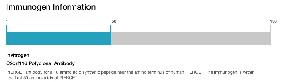 C9orf116 Polyclonal Antibody