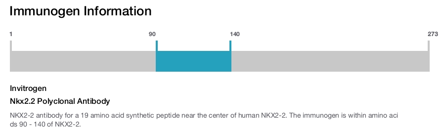 Nkx2.2 Polyclonal Antibody