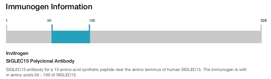 SIGLEC15 Polyclonal Antibody