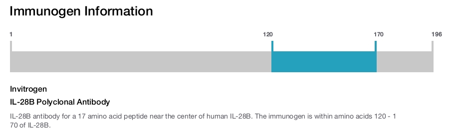 IL-28B Polyclonal Antibody