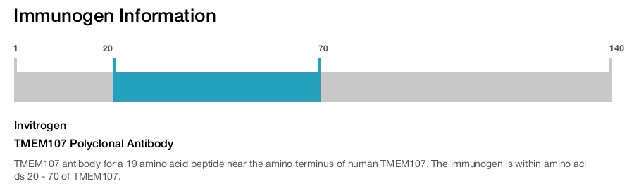 TMEM107 Polyclonal Antibody