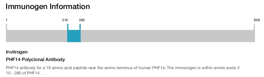 PHF14 Polyclonal Antibody
