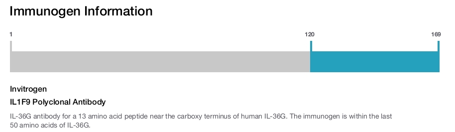 IL1F9 Polyclonal Antibody