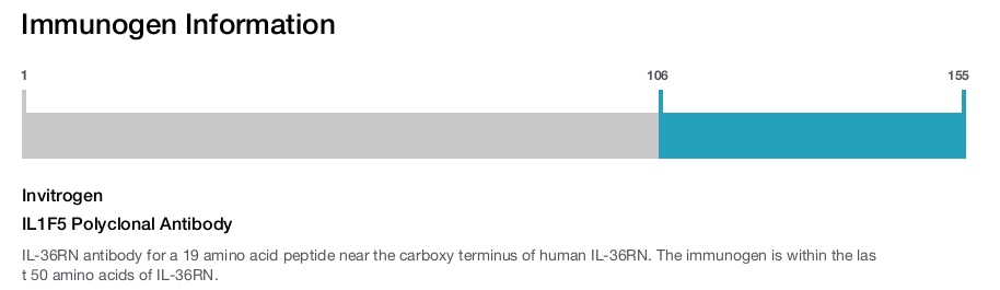 IL1F5 Polyclonal Antibody