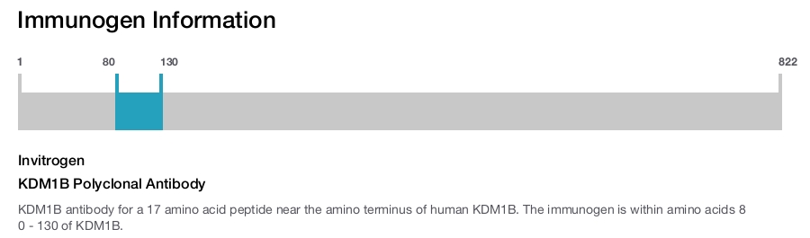 KDM1B Polyclonal Antibody