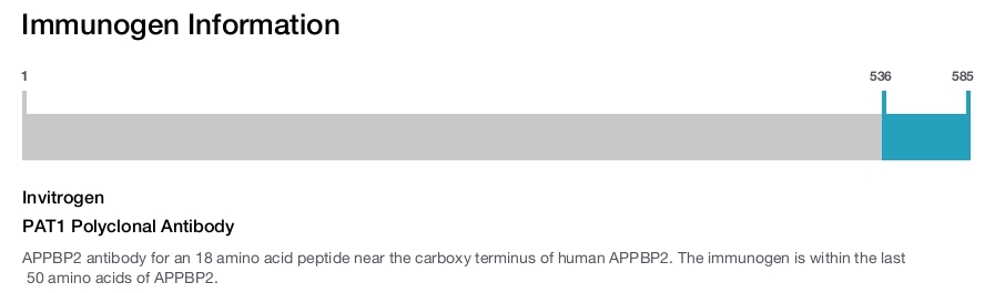 PAT1 Polyclonal Antibody