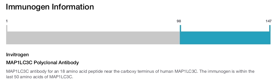 MAP1LC3C Polyclonal Antibody