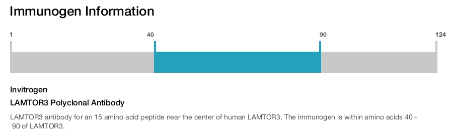 LAMTOR3 Polyclonal Antibody