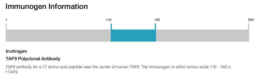 TAF9 Polyclonal Antibody