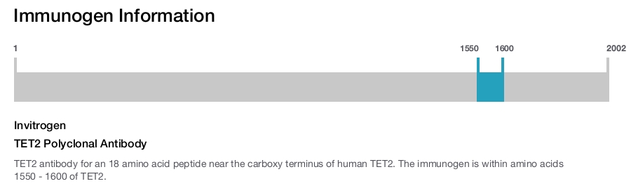 TET2 Polyclonal Antibody