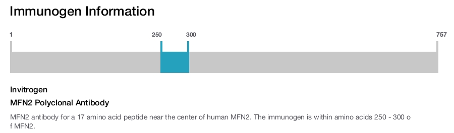 MFN2 Polyclonal Antibody