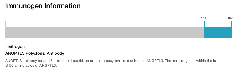 ANGPTL3 Polyclonal Antibody
