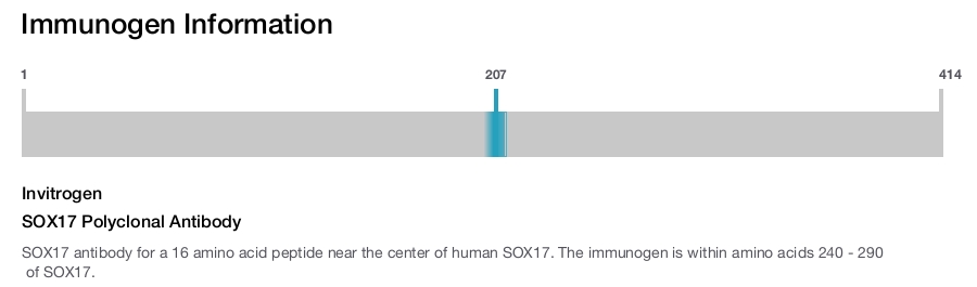 SOX17 Polyclonal Antibody