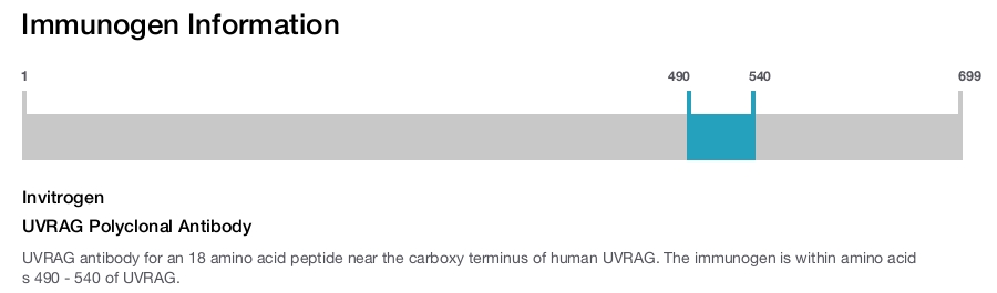 UVRAG Polyclonal Antibody