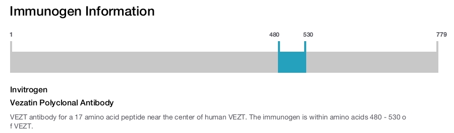Vezatin Polyclonal Antibody