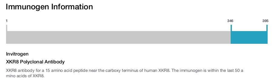 XKR8 Polyclonal Antibody